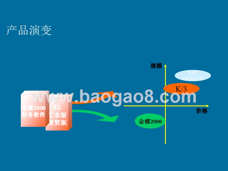 某某软件产品发展计划书.ppt_第3页