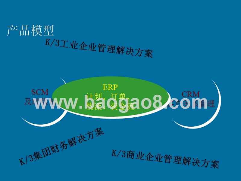 某某软件产品发展计划书.ppt_第4页