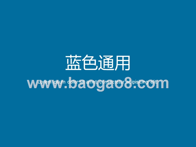 某某软件产品发展计划书.ppt_第5页