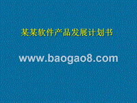 某某软件产品发展计划书.ppt