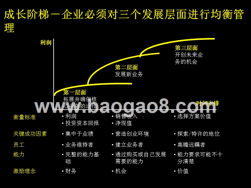 德隆成长阶梯规划实施讨论.ppt_第3页