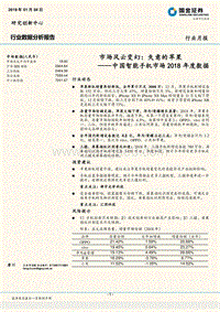中国智能手机市场2018年度数据：市场风云变幻：失意的苹果.pdf