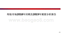 寿险市场2018年回顾及2019年展望分析报告.pptx