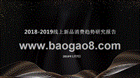2018-2019线上新品消费趋势研究报告.pptx