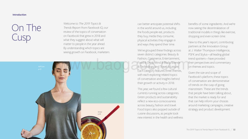 2019FacebookIQ年度热门话题和趋势报告.pdf_第3页
