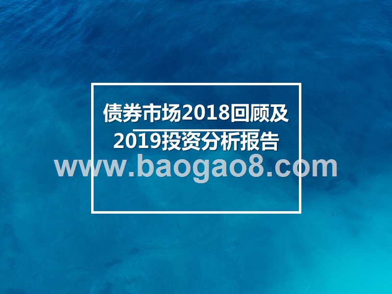 债券市场2018回顾及2019投资分析报告.pptx_第1页