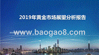 2019年黄金市场展望分析报告.pptx