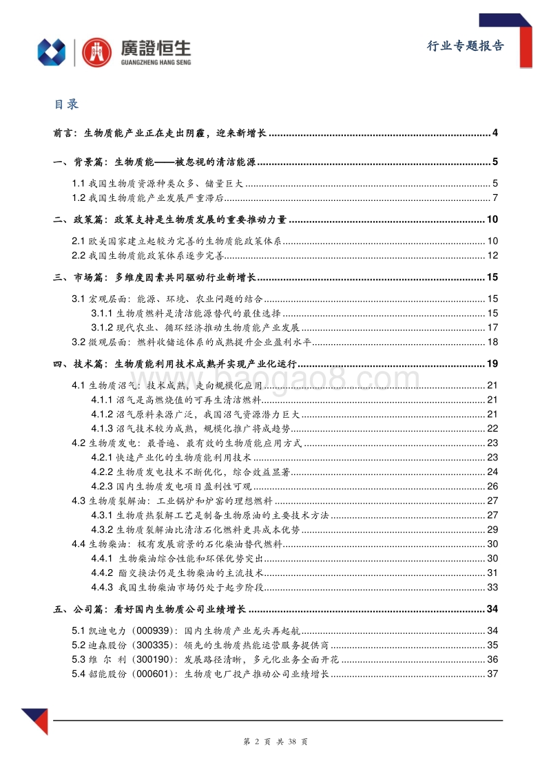 生物质能：被忽视的能源金矿，正在启幕！.pdf_第2页