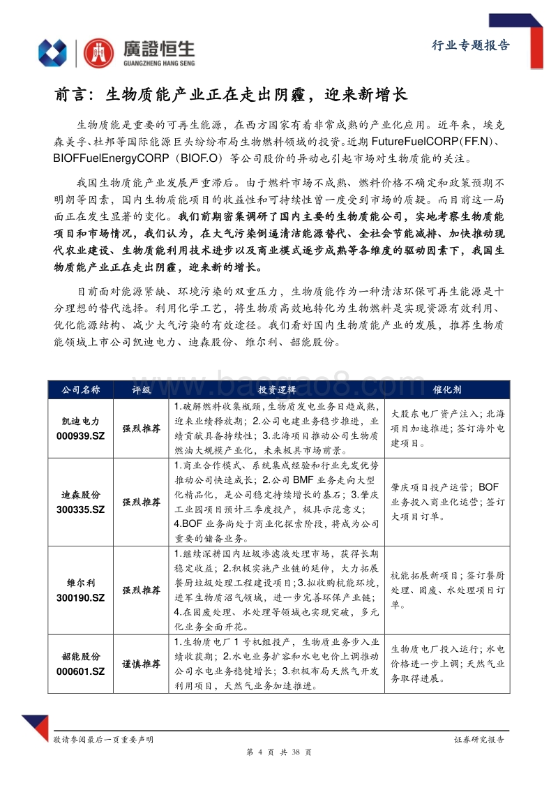生物质能：被忽视的能源金矿，正在启幕！.pdf_第4页