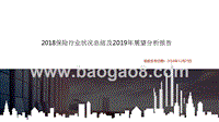 2018保险行业状况总结及2019年展望分析报告.pptx