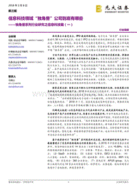 独角兽系列行业研究之信息科技篇（一）：信息科技领域“独角兽”公司到底有哪些.pdf