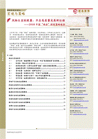 2018中国“两会”特别策略报告.pdf