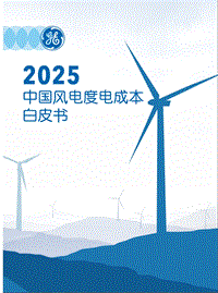2025中国风电度电成本白皮书.pdf