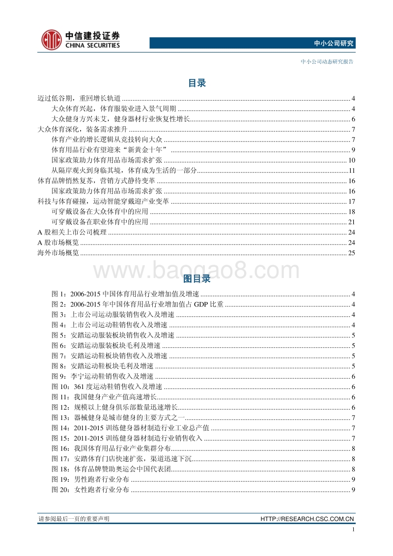 体育用品行业研究报告.pdf_第2页