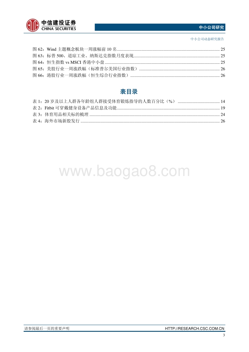 体育用品行业研究报告.pdf_第4页
