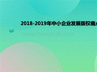 2018-2019年中小企业发展版权痛点调查报告.pptx