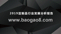 2019豆制品行业发展分析报告.pptx