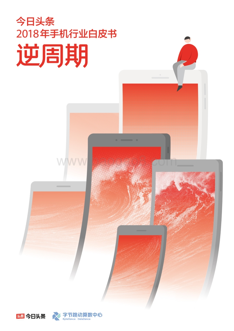 2018年手机行业白皮书.pdf_第1页