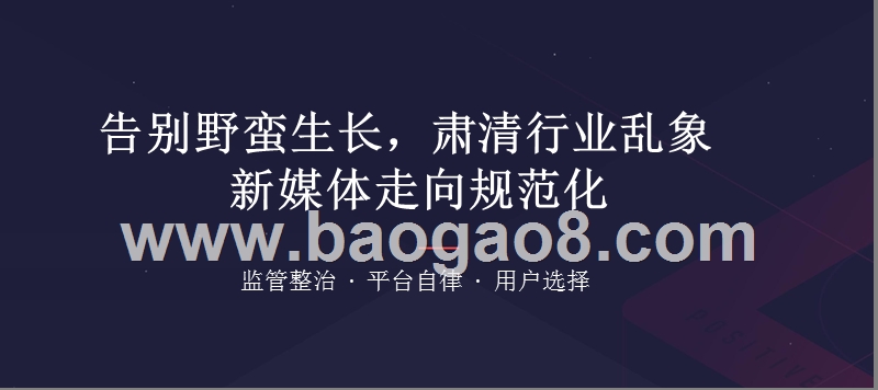 2019年度内容创业分析报告.pptx_第3页