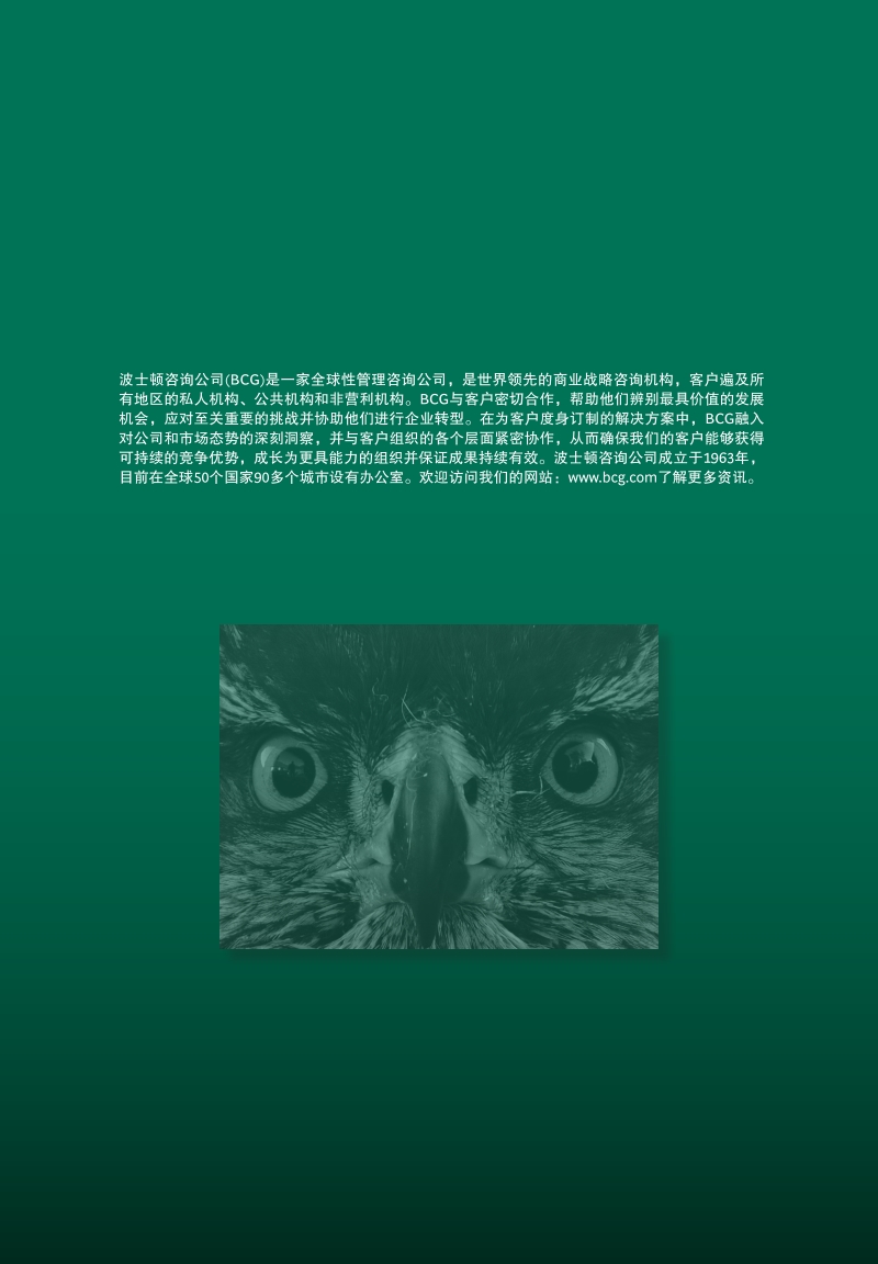 2018年全球财富报告.pdf_第2页