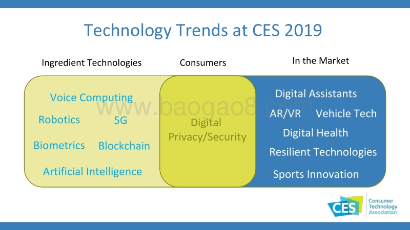 CES：2019年科技趋势报告.pdf_第3页