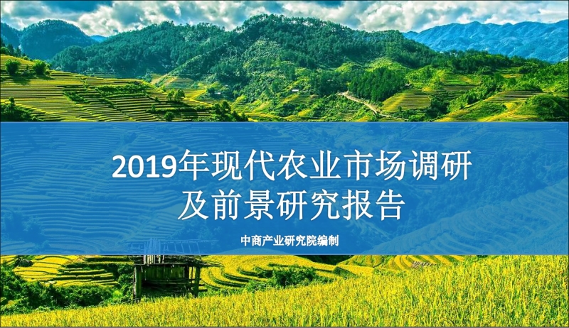 2019年现代农业市场调研及前景研究报告.pdf_第1页