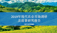 2019年现代农业市场调研及前景研究报告.pdf