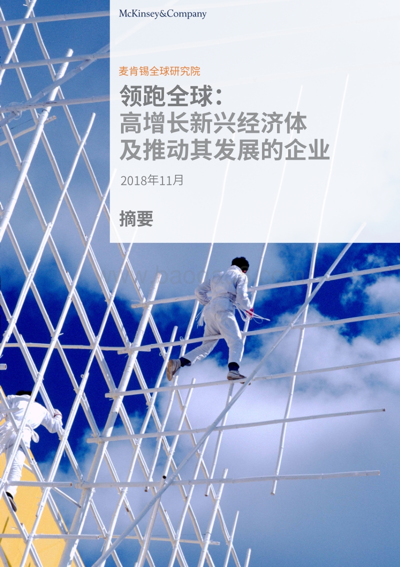 领跑全球：高增长新兴经济体及推动其发展的企业.pdf_第1页