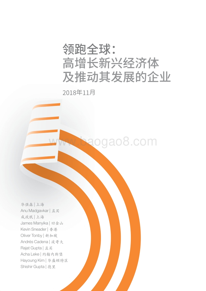 领跑全球：高增长新兴经济体及推动其发展的企业.pdf_第3页