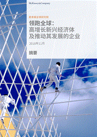 领跑全球：高增长新兴经济体及推动其发展的企业.pdf