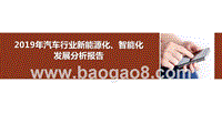 2019年汽车行业新能源化、智能化发展分析报告.pptx