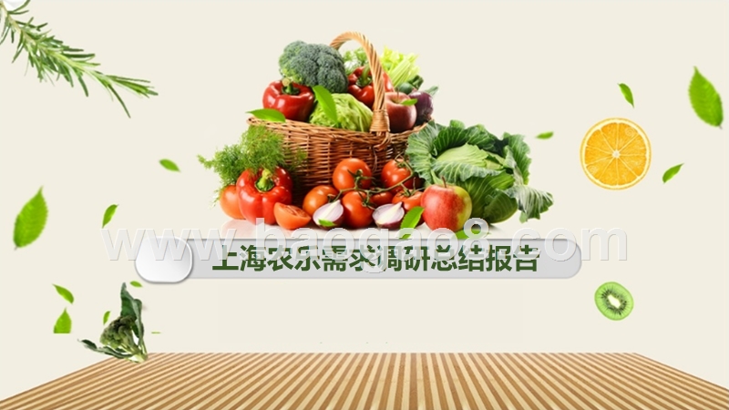 2018上海XX农乐集团总结分析报告.pptx_第1页
