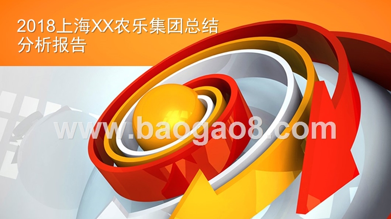 2018上海XX农乐集团总结分析报告.pptx_第2页