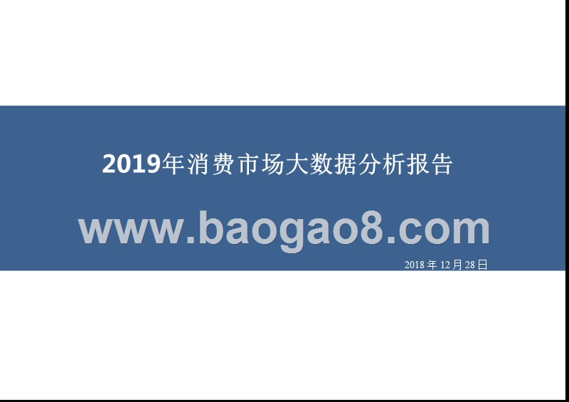 2019年消费市场大数据分析报告.pptx_第1页