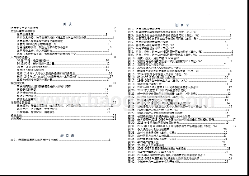 2019年消费市场大数据分析报告.pptx_第2页