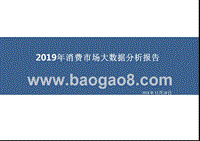 2019年消费市场大数据分析报告.pptx