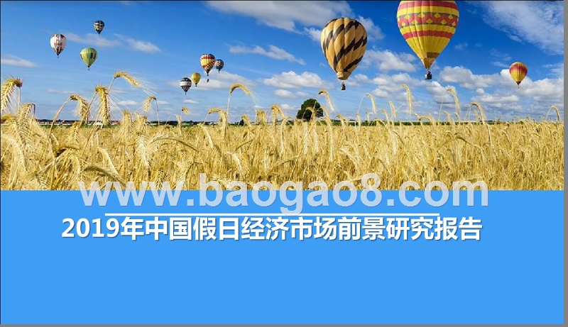 2019年中国假日经济市场前景研究报告.pptx_第1页