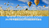 2019年中国假日经济市场前景研究报告.pptx