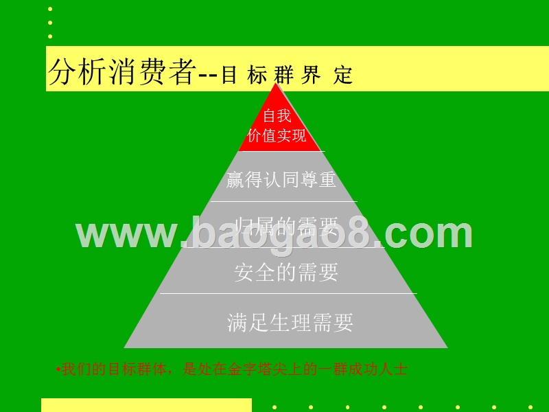 项目整合推广策略提案.ppt_第5页
