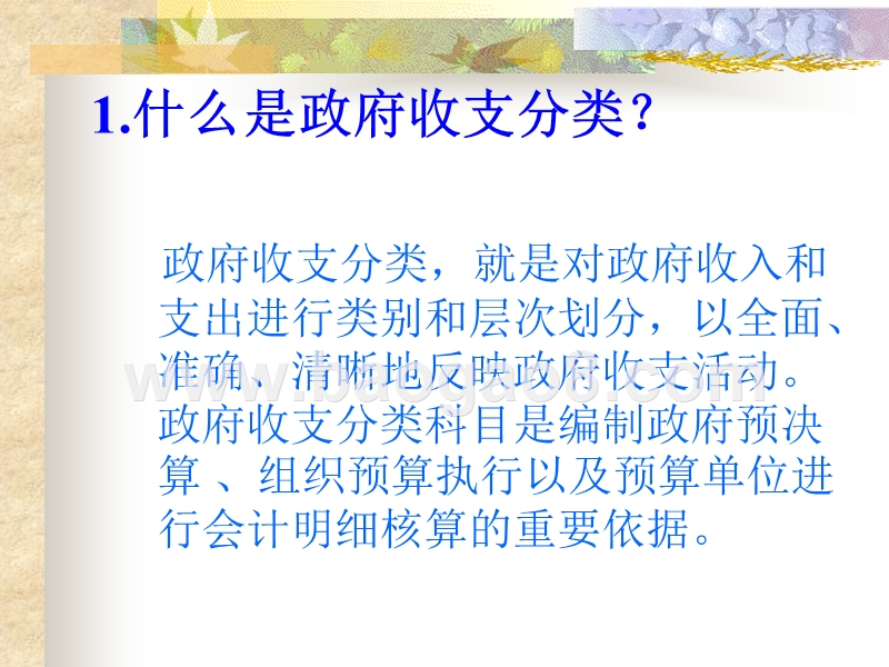 政府收支分类改革问题讲解.ppt_第4页