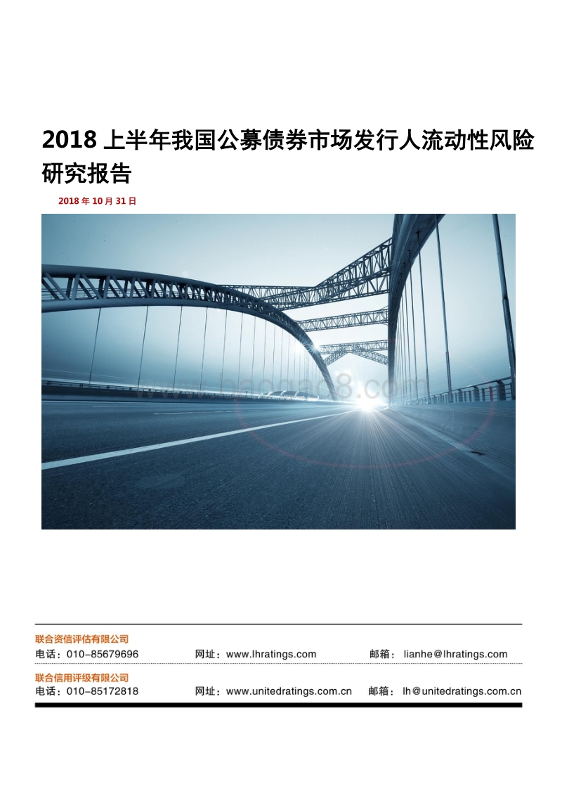 2018上半年我国公募债券市场发行人流动性风险研究报告.pdf_第1页