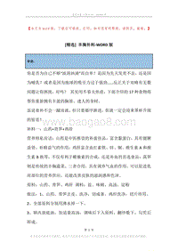 丰胸补料.docx