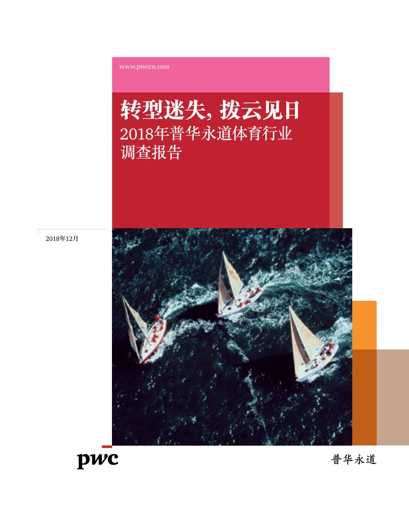 2018年普华永道体育行业调查报告.pdf_第1页