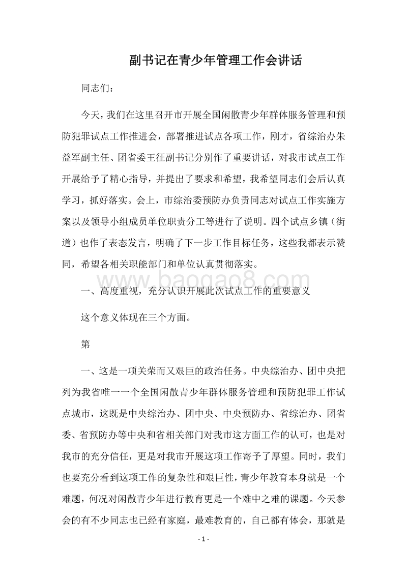 副书记在青少年管理工作会讲话.docx_第1页
