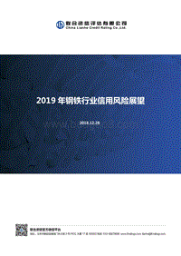 2019年钢铁行业信用风险展望.pdf
