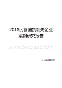 2018民营国货领先企业案例研究报告.pptx