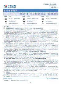 家电海外专题（11）：全球家电市场概览，中国企业粲然可观.pdf
