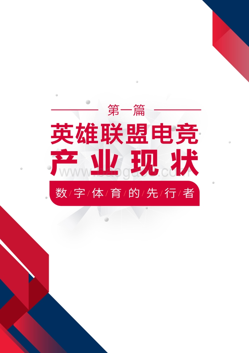 2019年版英雄联盟中国电竞白皮书.pdf_第5页