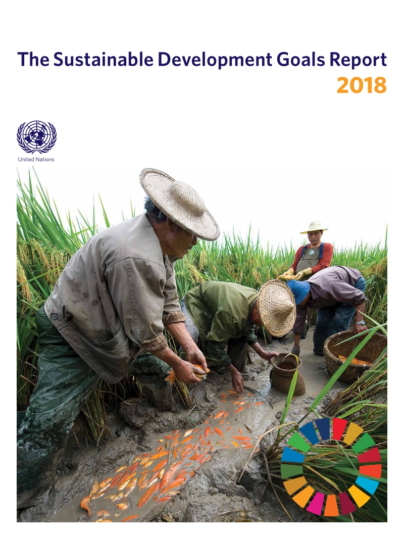 2018年可持续发展目标报告（英文版）.pdf_第1页