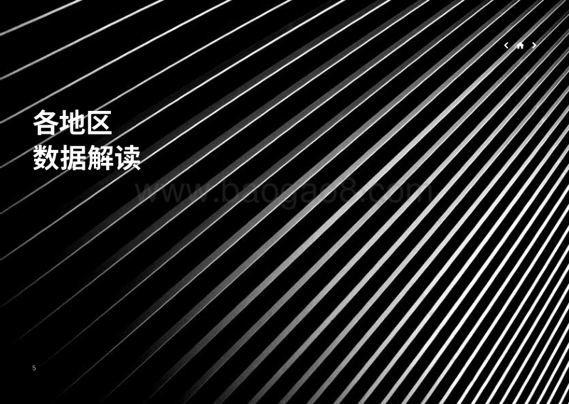 亚太地区制药创新报告：基于定量指标的企业排名和未来前景分析.pdf_第5页